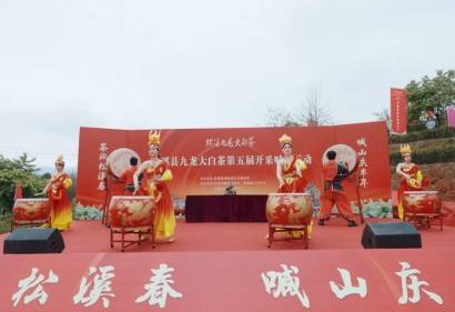 松溪县举办第五届九龙大白茶开采喊山活动